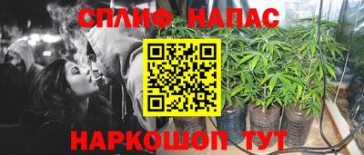 скорость Бердск