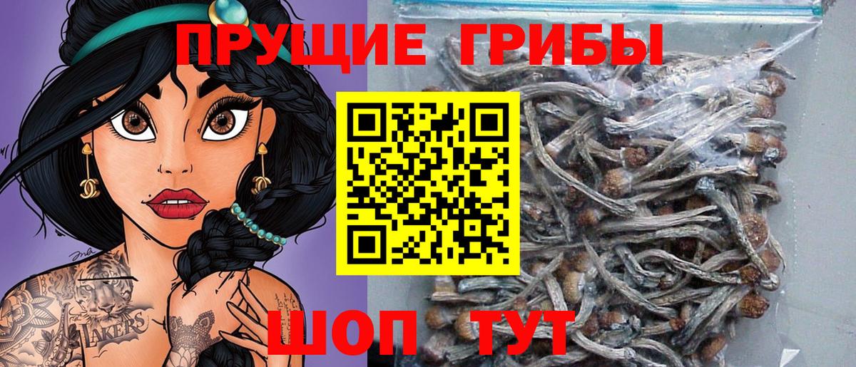 Псилоцибиновые грибы мицелий Когалым